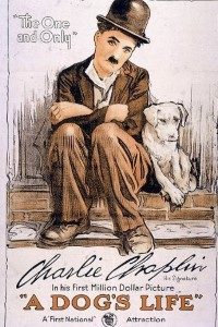 Download A Dog’s Life (1918) {English With Subtitles} 480p [100MB] || 720p [300MB] || 1080p [1.4GB]