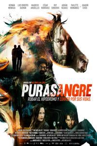Download Purasangre (2016) Dual Audio (Hindi-Spanish) Bluray 480p [370MB] || 720p [1.2GB]